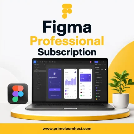 Figma Professional Subscription