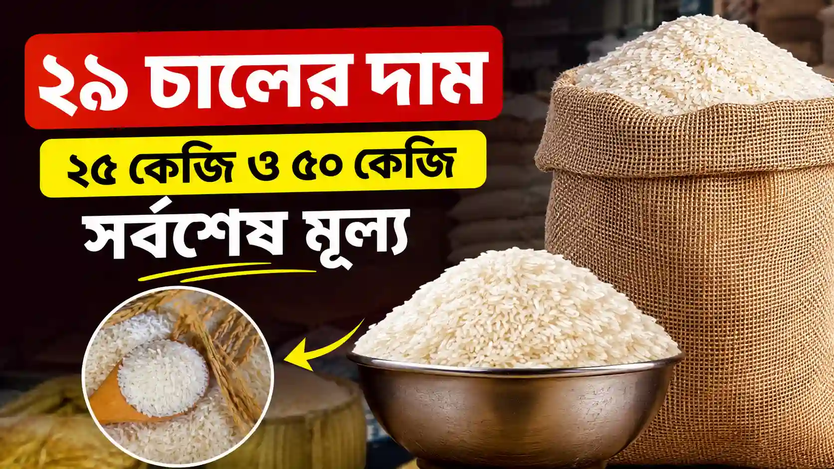 ২৯ চালের দাম ২০২৬ - ২৫ কেজি ও ৫০ কেজির সর্বশেষ মূল্য
