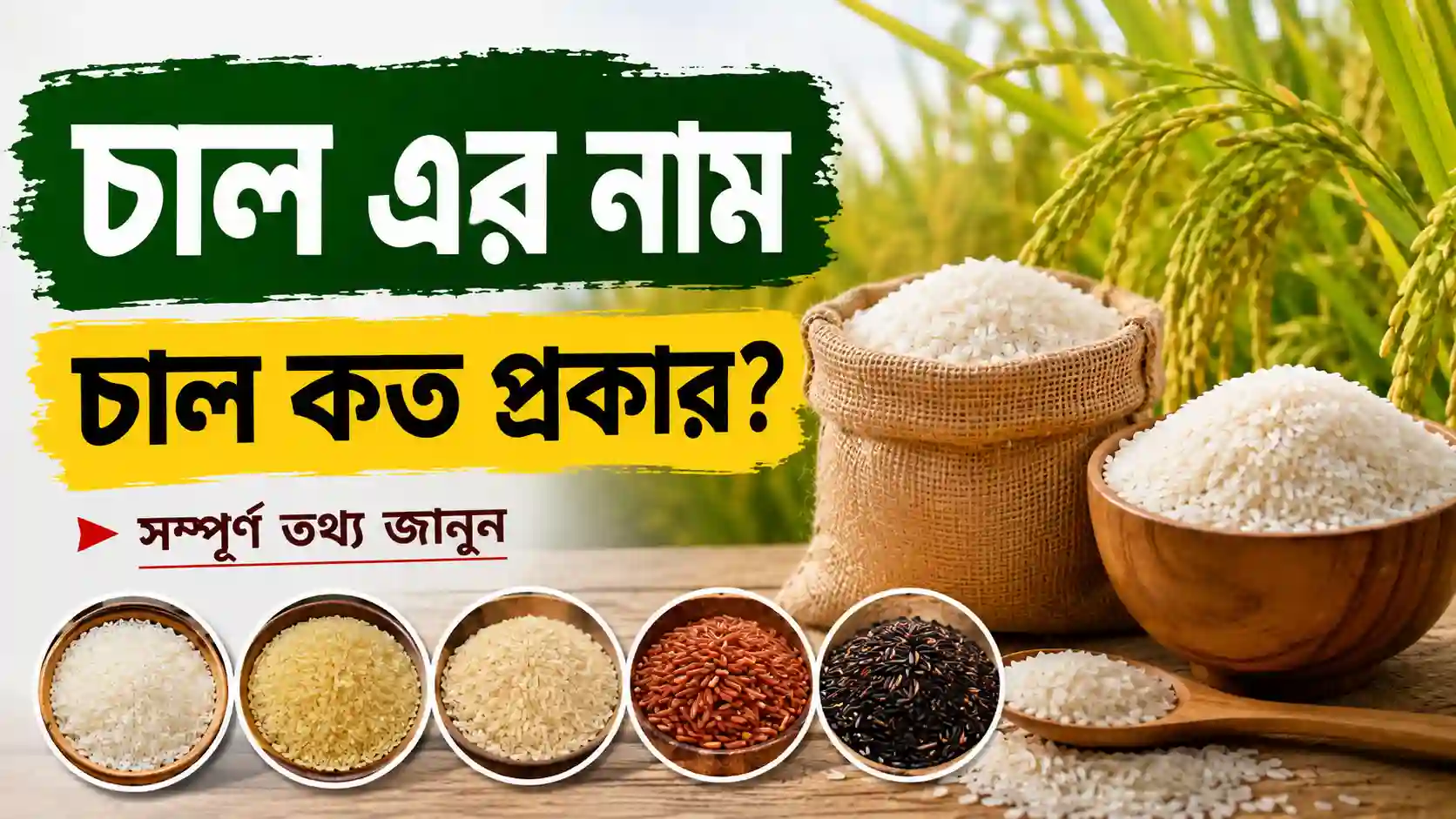 চাল এর নাম। চাল কত প্রকার