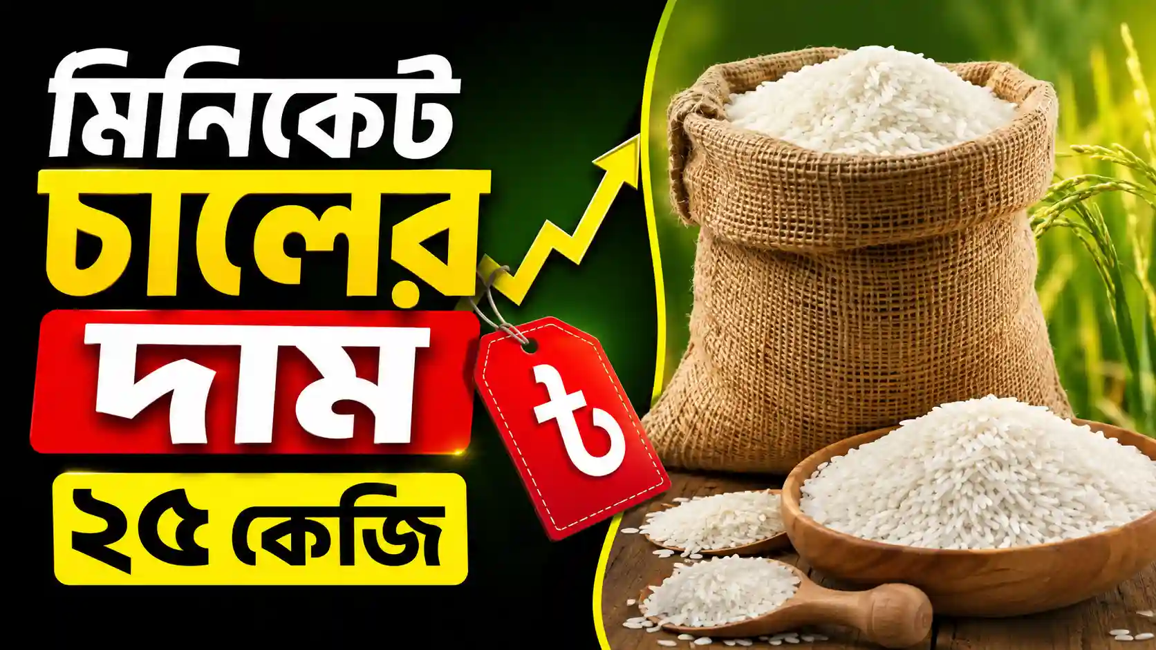 মিনিকেট চালের দাম ২৫ কেজি 2026