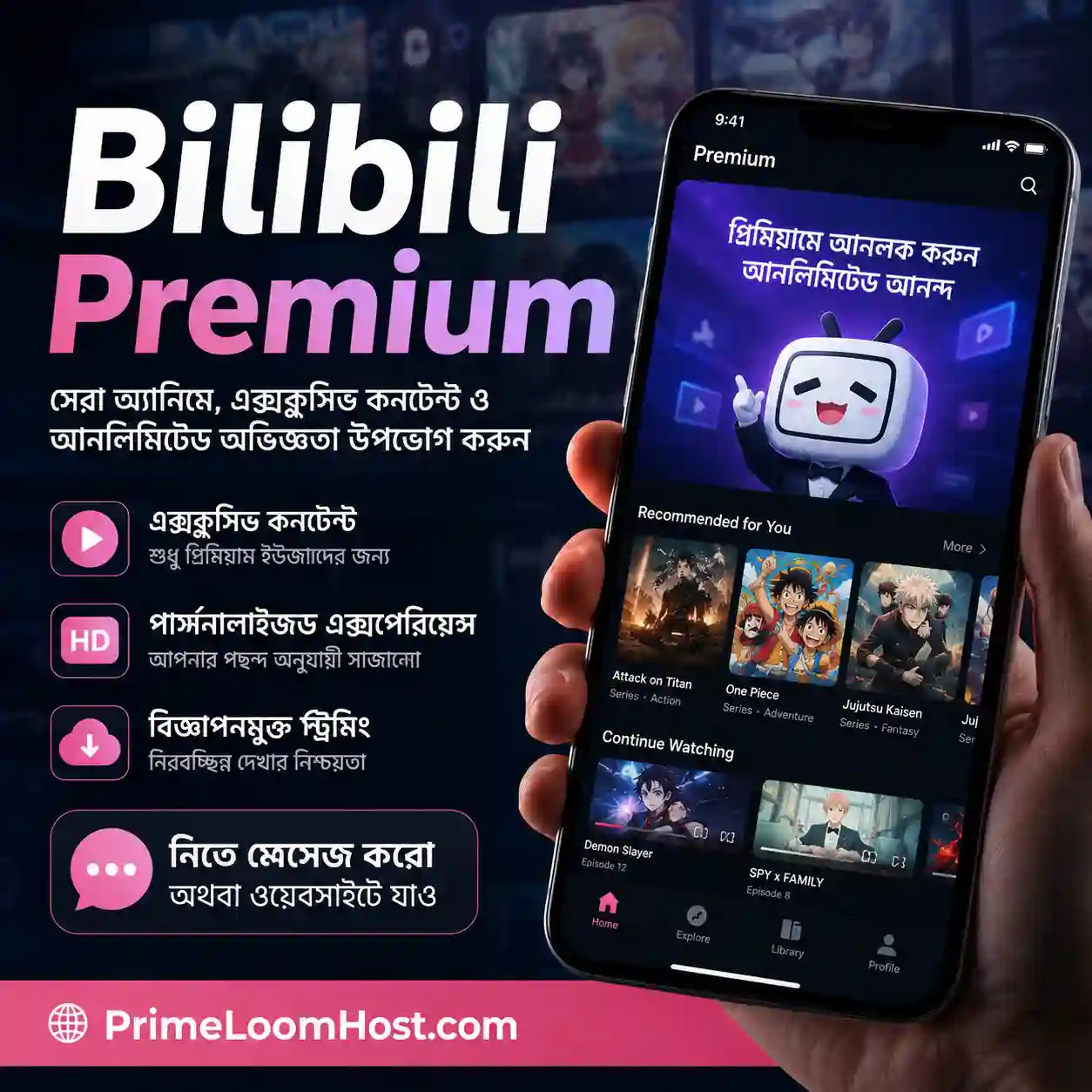 Bilibili Premium image Bilibili Premium image