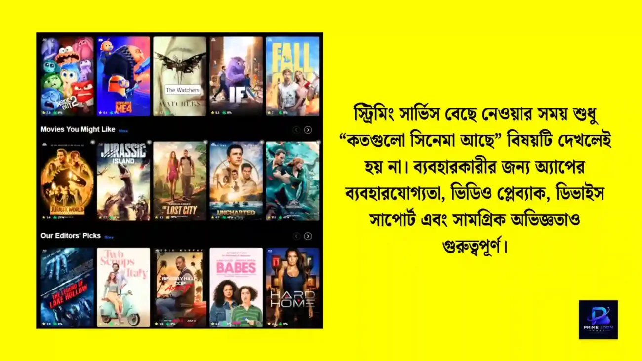 Moviebox Premium কেন ব্যবহার করতে চান অনেকে